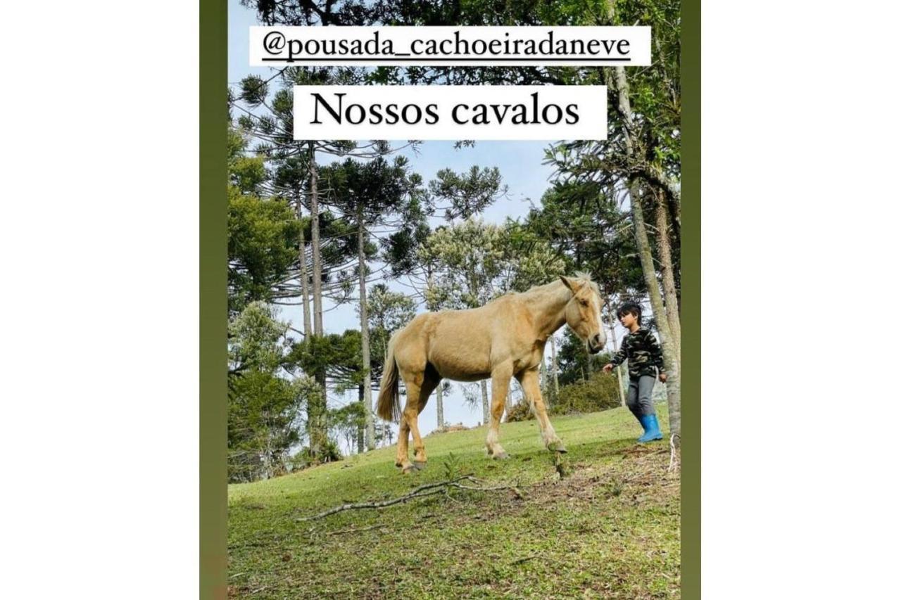 Floresta Secreta- Pousada Cachoeira Da Neve Urubici Eksteriør bilde