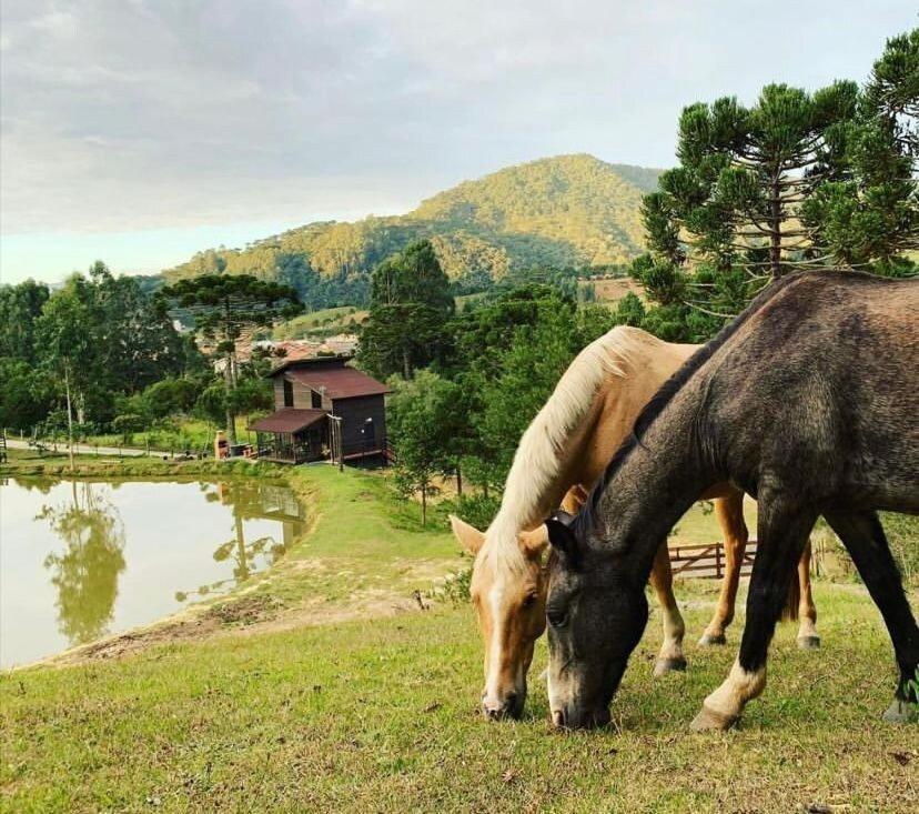Floresta Secreta- Pousada Cachoeira Da Neve Urubici Eksteriør bilde